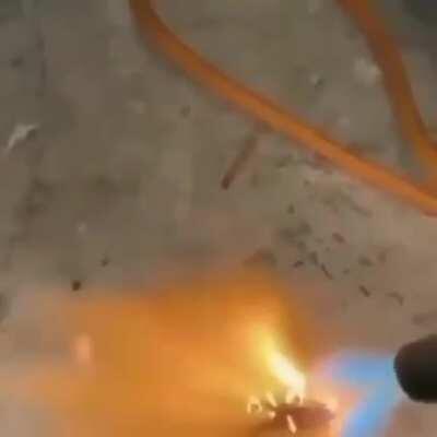 Hello little guy 🥰