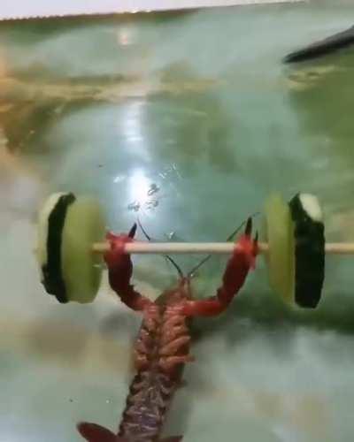 When you have a legit reason to skip leg day.