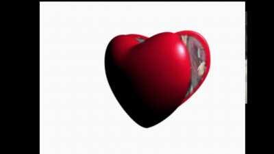 shukiyama (earape awawerminghsodfbudsf)