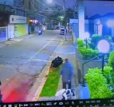 That's why dogs are our best friends!