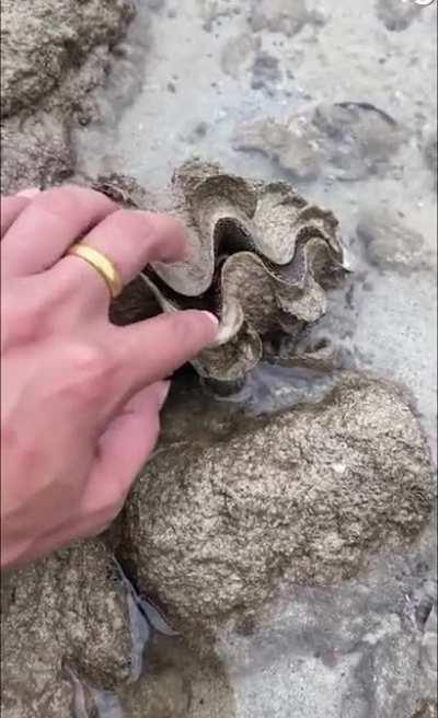 Stick your dirty finger in my mouth, I'd spit on you too. 🌊