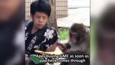 It's my cakeday so I wanted to make a HQ shitpost for you all <3