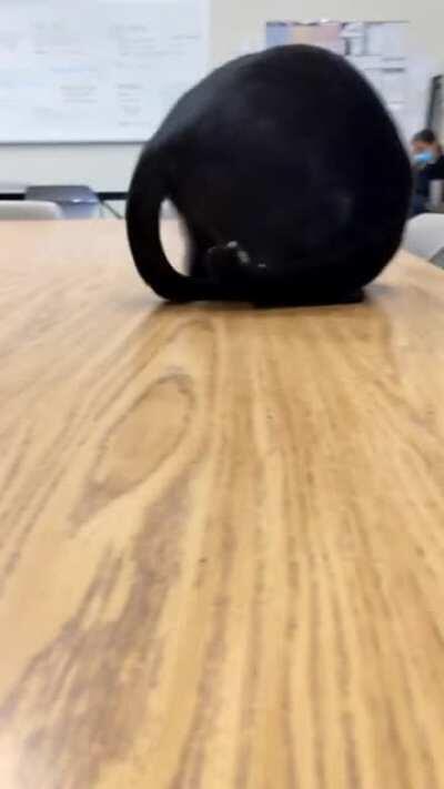 Which Sonic character is this?