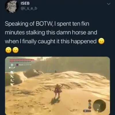 That horse really does not want to get tamed