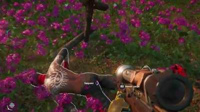 I've spent the lucky of my whole life on these shots