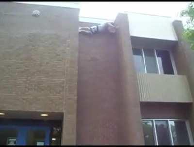 HMFT after trying to climb a wall.