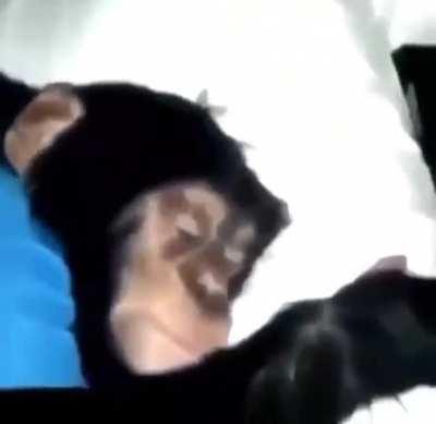 Journal Entry Day 32: The hallucinations are becoming more vibrant and real, it seems that my medication just isn't cutting it anymore