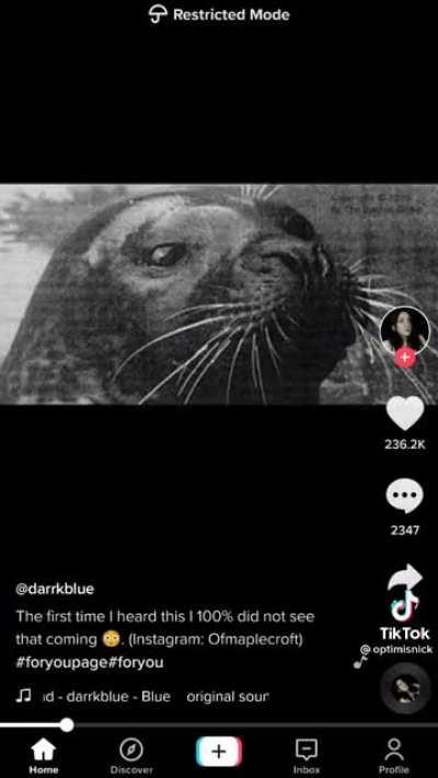 Damn.... Seals can talk