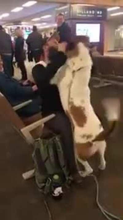 Owner reunites with dog at the airport
