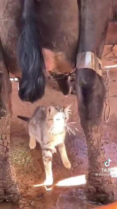 fkr didn’t expect that what’s so ever