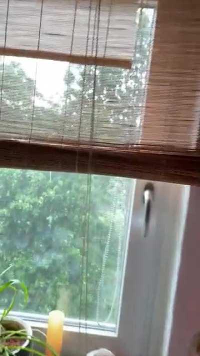 The view from my kitchen windows in Germany today.