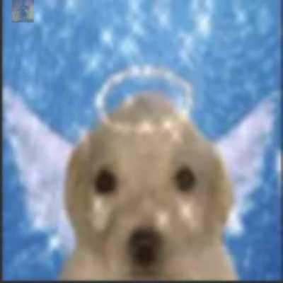 Hola,soy nuevo;como puedo ganar monedas de reddir?:u