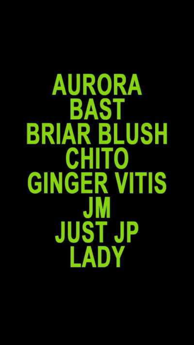 recreated the boiler room teaser for a brat drag show I'm throwing 😈