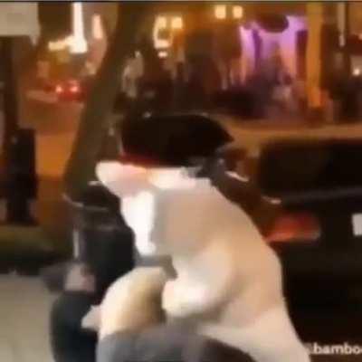 funniest shit i have seen in a while