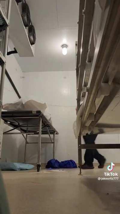 Just a little prank at the workplace