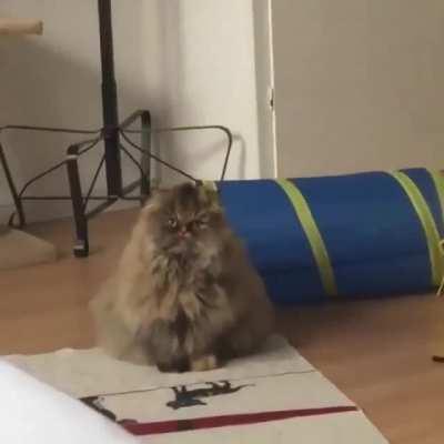 I'll always be watching John there's no escaping me