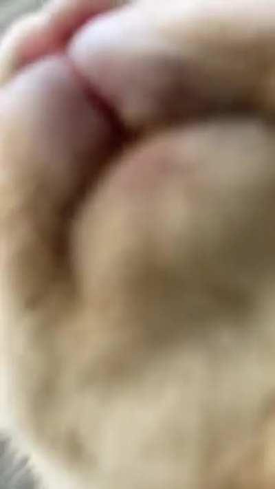 action shot of my rabbit eating.