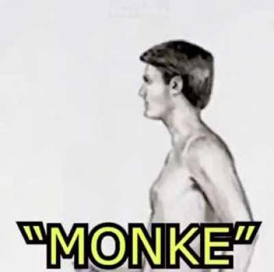 i want to be monke