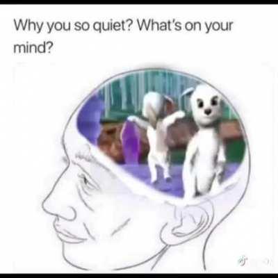 This is me, Literally all the Time. Portugal The Man teasing new music with this and it belongs here