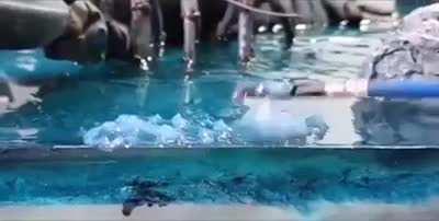 This will be war in 2121