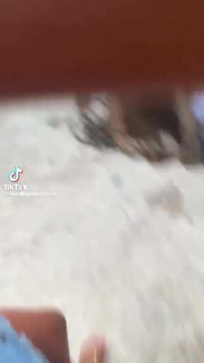 Mi novia se cayó en un pozo ciego... extremo.