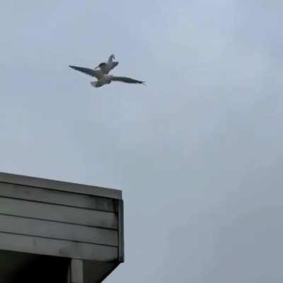 Jim was always suspicious that she was up to something, only after hiring the best PI in the city were his worst nightmares confirmed