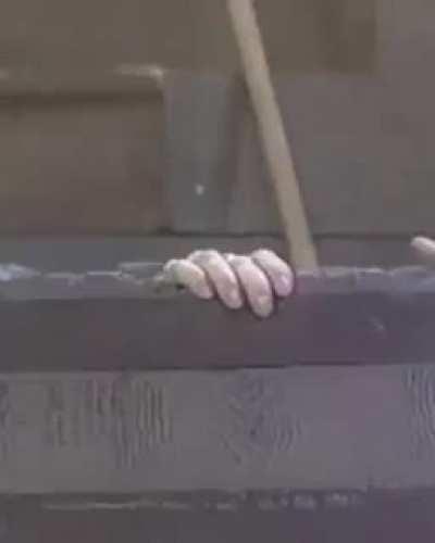 BeelcitosMemes - Video #7989