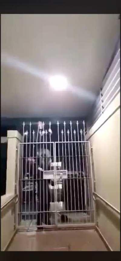 they are supposed to deter you, not impale you