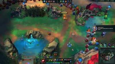 Blind man bullied by rat, dies of mushroom overdose