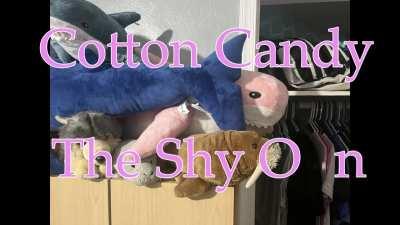 Someone Doubted That I own 10 Blahaj, So I Made This.