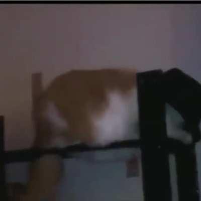 mInHA prImEira vEZ aQuI mimImImi