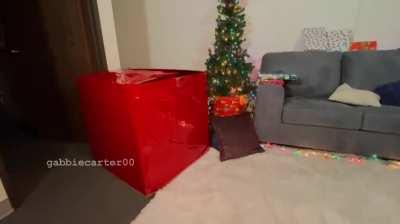 Underneath The Xmas Tree [OC]