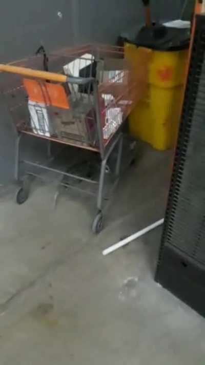 Say Hello to Our Night Security