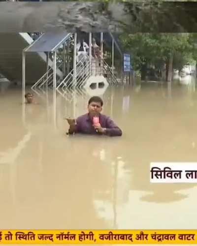 Gold Standard Journlism 