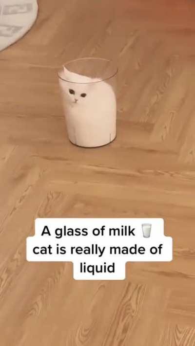A glass of milk , cat is really made of liquid
