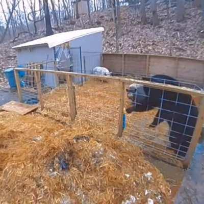 Не очень то и хотелось