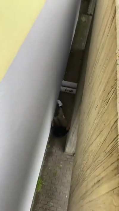 Parkour for beginners