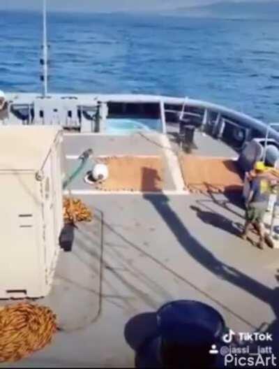 Idiots aimlessly walks by and almost gets dragged off by the anchor.