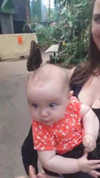 Kids and their crazy hairstyles