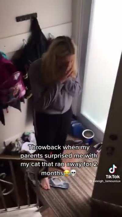 To return a home body cat