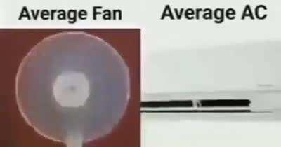 moldy summer choices