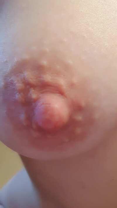 Morning! You look like you need a boob in your face...