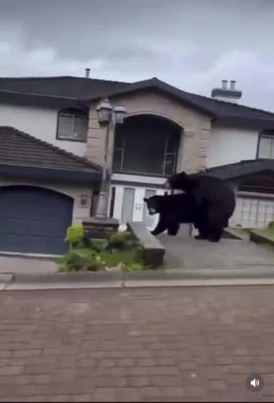 Just a beautiful stroll in the neighborhood with great nature scenes