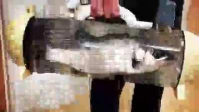 do you notice him?????