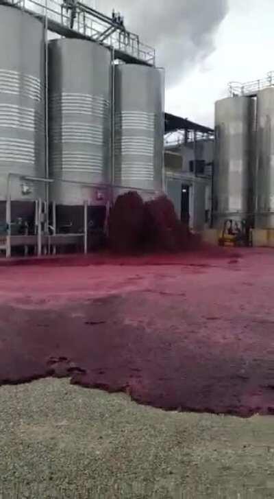 50,000 liters wine spill at Bodegas Vitivinos in Spain