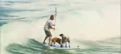 Doggies having quality surfing time with their dad 💕