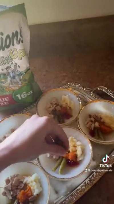 I made Thanksgiving dinner for the stray cats I care for!