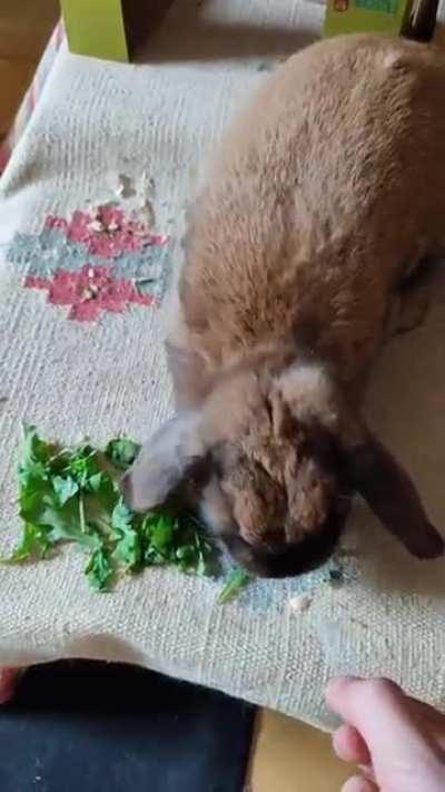 Just. can't. resist.