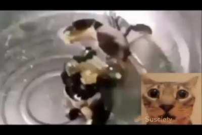 I’ve seen people post this person’s hyperpost recently. Little do they know that there were only sections of the video. This is the FULL post, which is 14 whole minutes of whatever the hell it is 💀