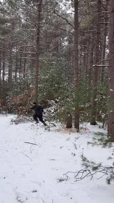 Tree Felling with a Sledehammer